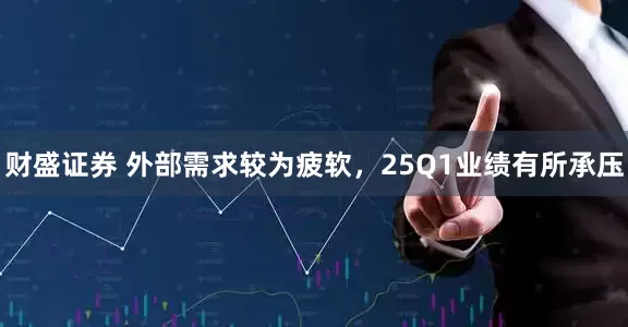 财盛证券 外部需求较为疲软，25Q1业绩有所承压
