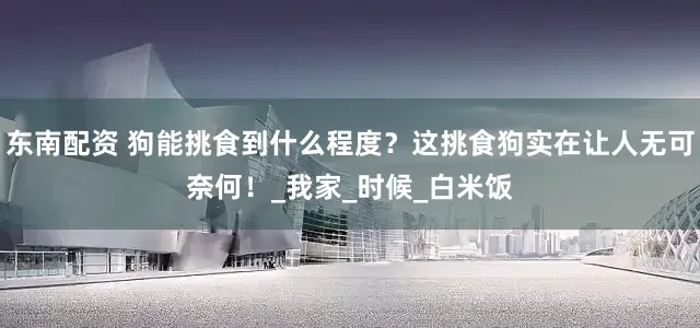 东南配资 狗能挑食到什么程度？这挑食狗实在让人无可奈何！_我家_时候_白米饭