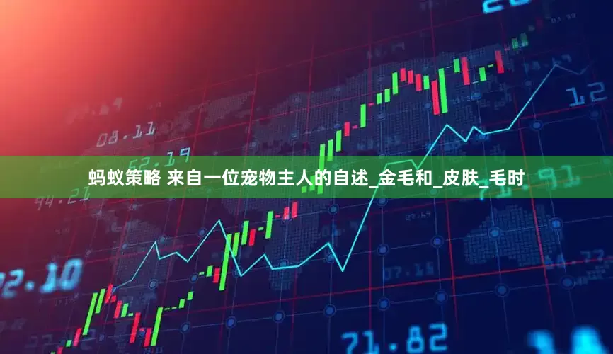 蚂蚁策略 来自一位宠物主人的自述_金毛和_皮肤_毛时