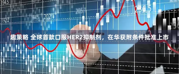 趣策略 全球首款口服HER2抑制剂，在华获附条件批准上市
